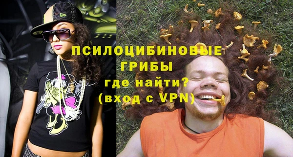 шишки Верхний Тагил